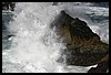 IMG_3753.JPG