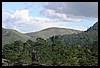 IMG_3757.JPG