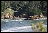 IMG_3761.JPG