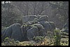 IMG_3763.JPG