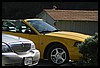 IMG_3767.JPG