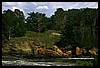 IMG_3775.JPG
