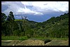 IMG_3778.JPG