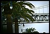 IMG_3818.JPG