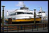 IMG_3862.JPG