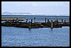 IMG_3866.JPG