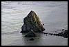 IMG_4019.JPG