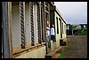 IMG_4052.JPG