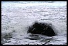 IMG_4091.JPG