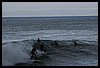 IMG_4100.JPG