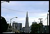 IMG_4110.JPG
