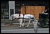 IMG_4119.JPG