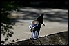 IMG_4143.JPG