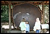 IMG_4145.JPG