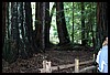 IMG_4147.JPG