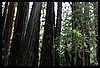 IMG_4150.JPG