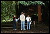IMG_4151.JPG