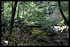 IMG_4153.JPG
