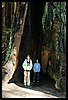 IMG_4159.JPG