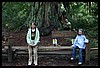IMG_4163.JPG