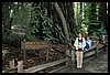 IMG_4165.JPG
