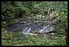 IMG_4173.JPG