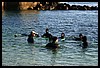IMG_4183.JPG