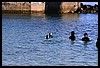IMG_4184.JPG