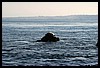 IMG_4185.JPG