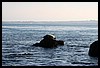 IMG_4186.JPG