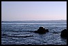 IMG_4187.JPG