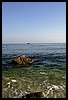 IMG_4189.JPG