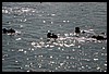 IMG_4195.JPG