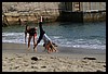 IMG_4201.JPG