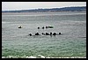 IMG_4226.JPG