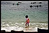 IMG_4229.JPG
