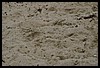 IMG_4247.JPG