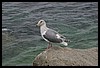 IMG_4252.JPG