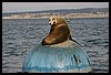 IMG_4272.JPG