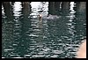 IMG_4283.JPG