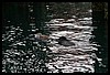 IMG_4285.JPG