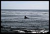IMG_4297.JPG
