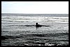 IMG_4298.JPG
