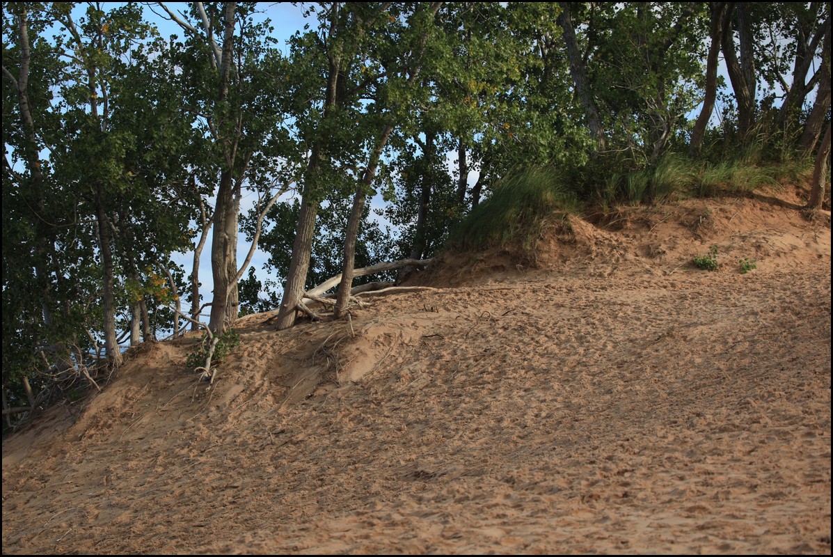 Sleeping Bear 119.JPG