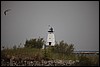 Sleeping Bear 002.JPG