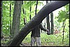 Sleeping Bear 036.JPG