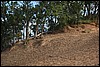 Sleeping Bear 119.JPG