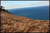 Sleeping Bear 124.JPG