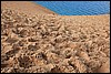 Sleeping Bear 125.JPG