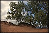 Sleeping Bear 132.JPG